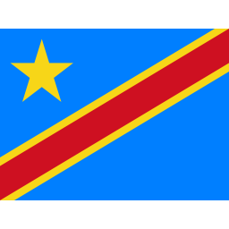 民主刚果队徽